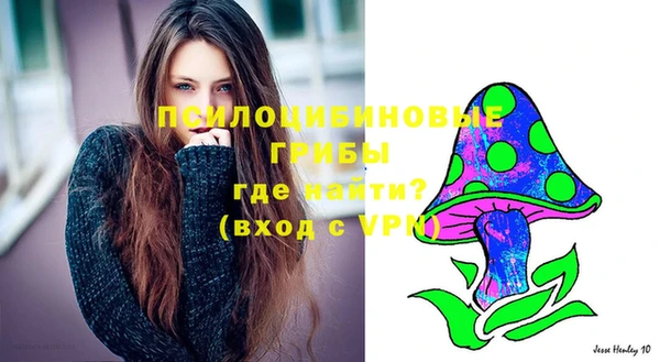 бутират Алзамай