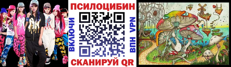 Псилоцибиновые грибы Psilocybine cubensis  Апатиты 